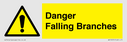 danger-falling-branches~